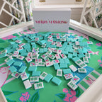 Southern Springs American mahjong tile set showing light blue tile backs and storage box